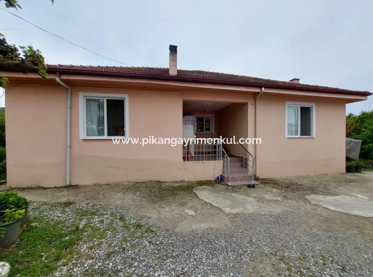 Dorfhaus Und Bauernhof Zum Verkauf Auf 6.650 M² Fruchtbarem Land In Muğla Köyceğiz Pappel