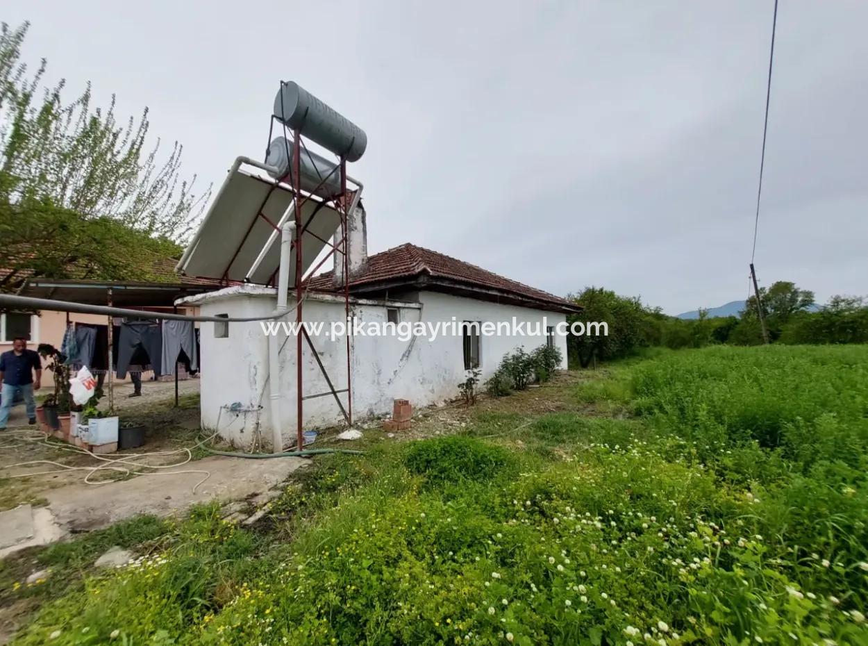 Dorfhaus Und Bauernhof Zum Verkauf Auf 6.650 M² Fruchtbarem Land In Muğla Köyceğiz Pappel