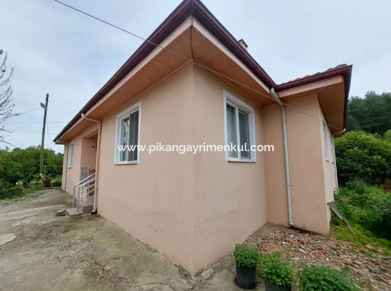 Dorfhaus Und Bauernhof Zum Verkauf Auf 6.650 M² Fruchtbarem Land In Muğla Köyceğiz Pappel