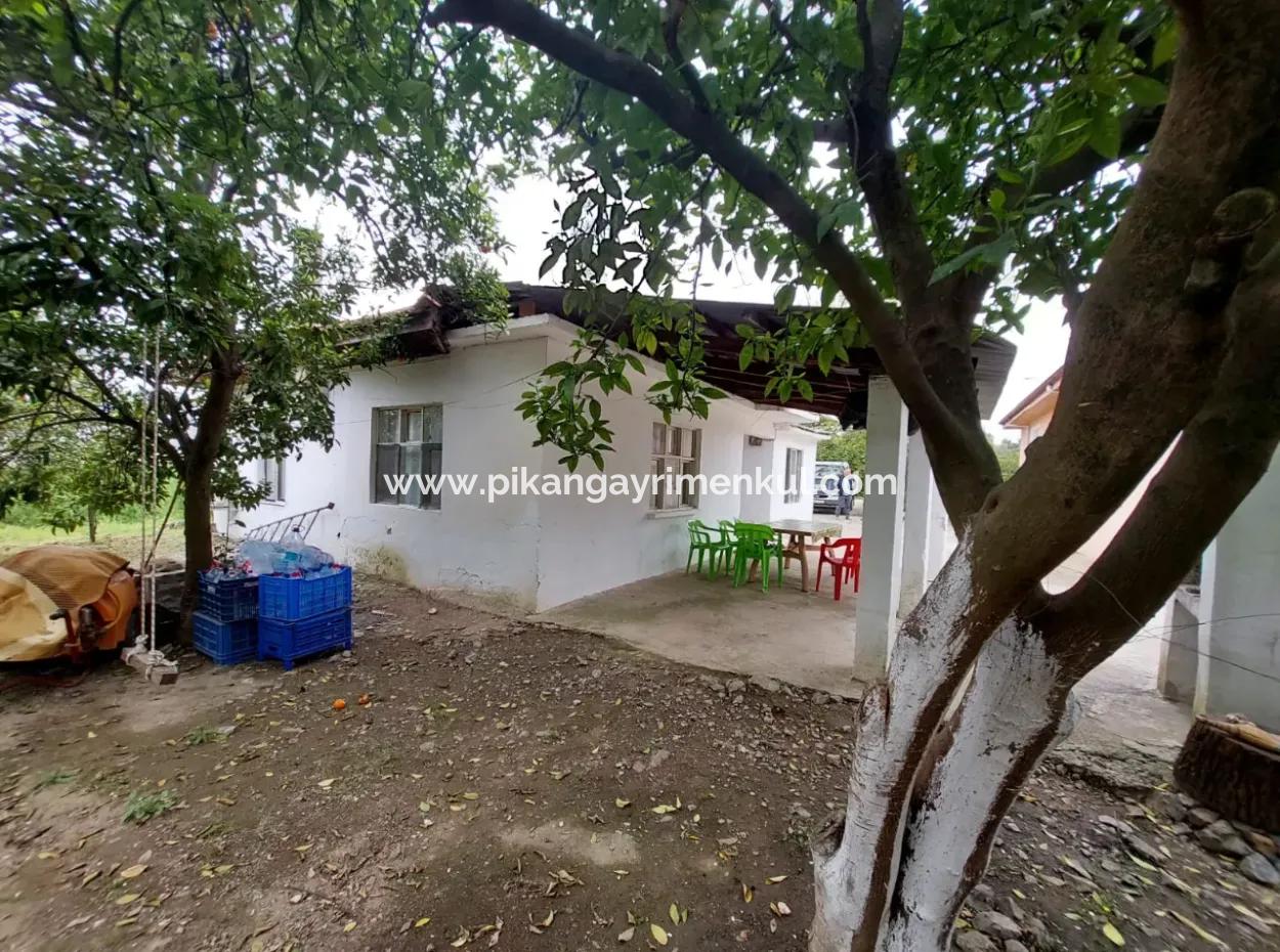 Dorfhaus Und Bauernhof Zum Verkauf Auf 6.650 M² Fruchtbarem Land In Muğla Köyceğiz Pappel