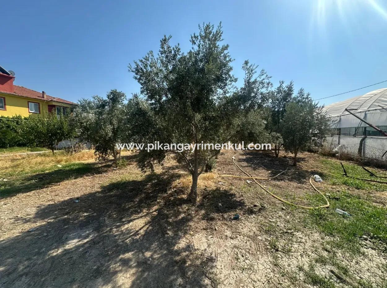 538 M2 Grundstück Zum Verkauf In Ortaca Ekşiliyurt
