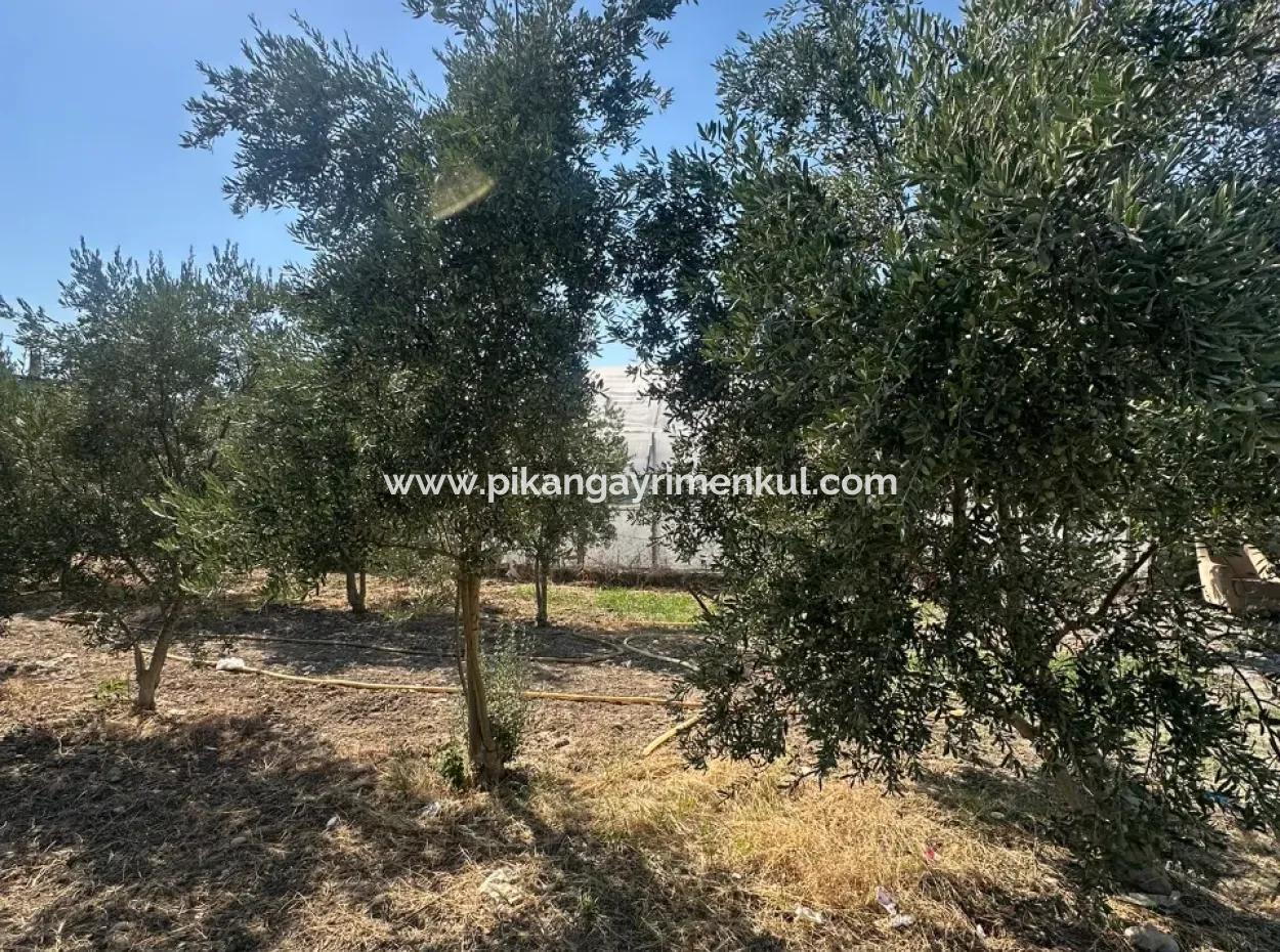 538 M² Grundstück Zum Verkauf In Ortaca Ekşiliyurt – Baugenehmigung Für 250 M²