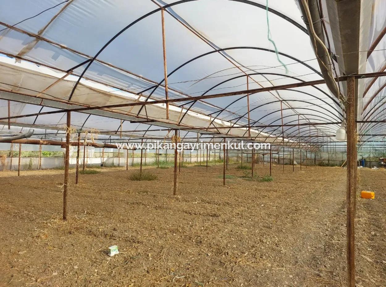 5.850 M² Seeblick Grundstück Und Dorfhaus Zum Verkauf In Ortaca Eskiköy