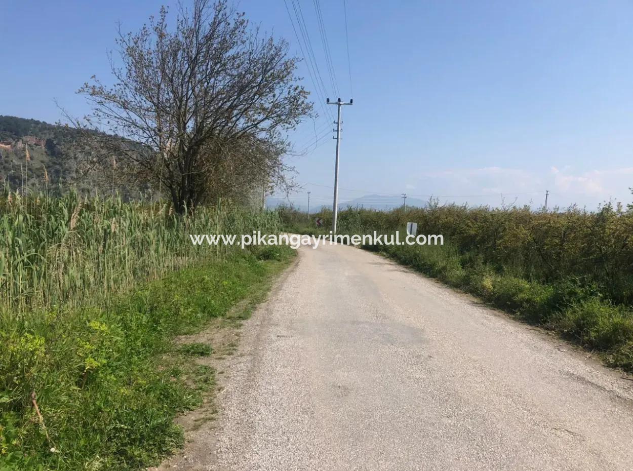 7.989 M² 150 M² Granatapfelgarten Mit Baugenehmigung Zum Verkauf In Ortaca Mergenli