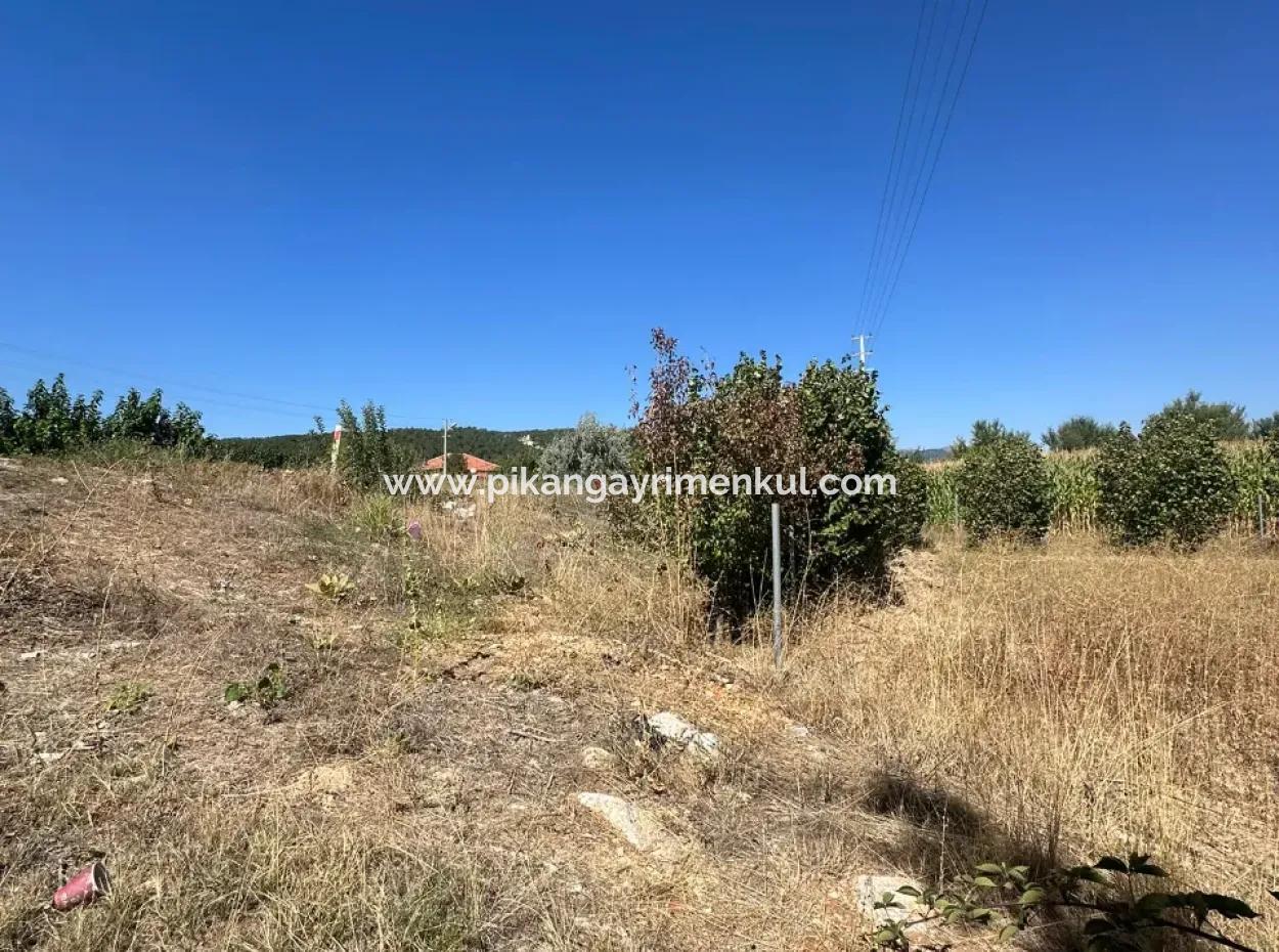 3070 M2 Walnussgarten Zum Verkauf Am Rande Der Hauptstraße In Denizli Çameli