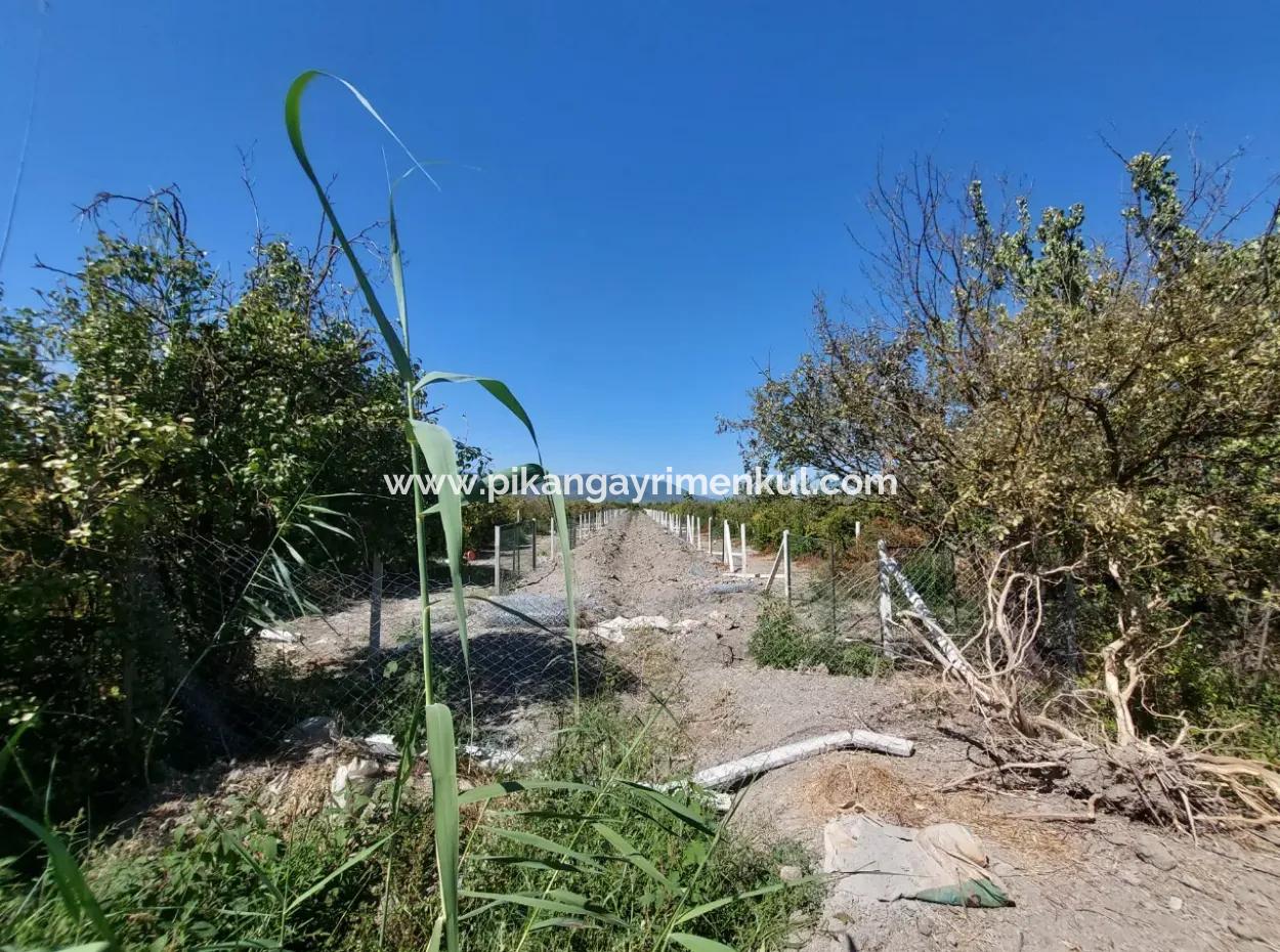 8126 M2 Investition Und Granatapfelgarten, Die Für Zirayi-Darlehen Geeignet Sind, Stehen In Ortaca Tepe Zum Verkauf