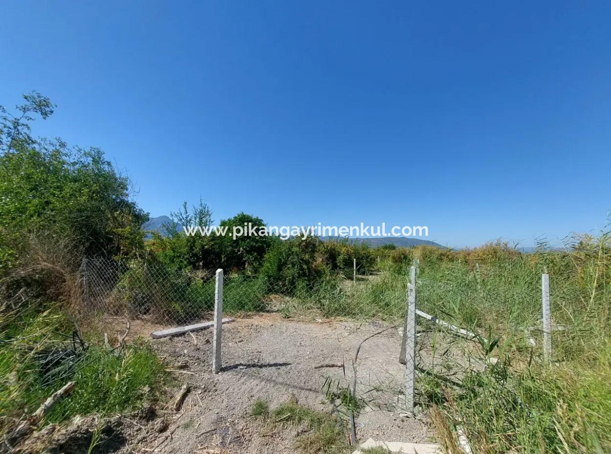 8126 M2 Investition Und Granatapfelgarten, Die Für Zirayi-Darlehen Geeignet Sind, Stehen In Ortaca Tepe Zum Verkauf