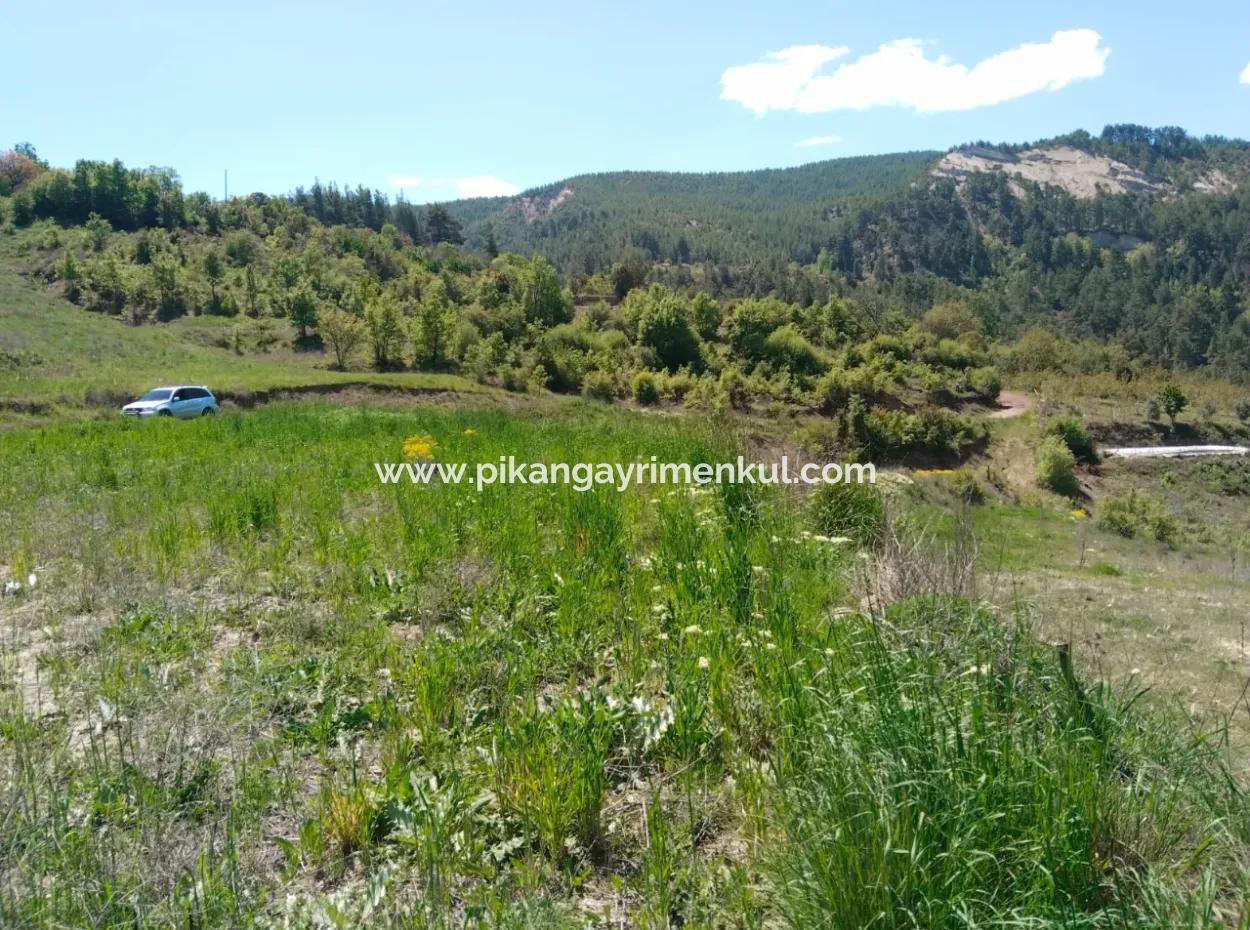 Çameli Kolakta Schnäppchen 20 000 M2 Freistehende Eigentumsurkunde Land Steht Zum Verkauf Oder Tausch.