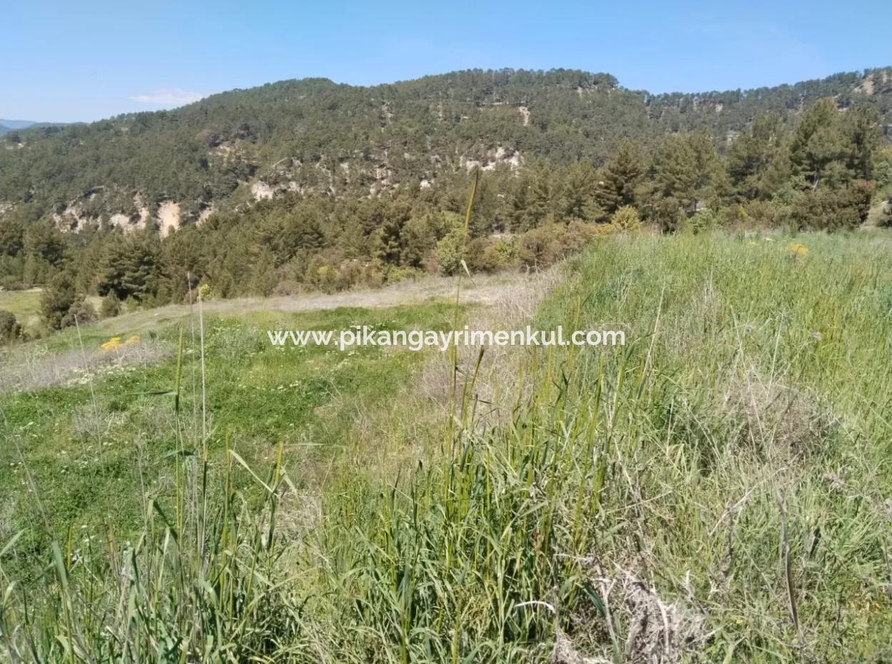 Çameli Kolakta Schnäppchen 20 000 M2 Freistehende Eigentumsurkunde Land Steht Zum Verkauf Oder Tausch.