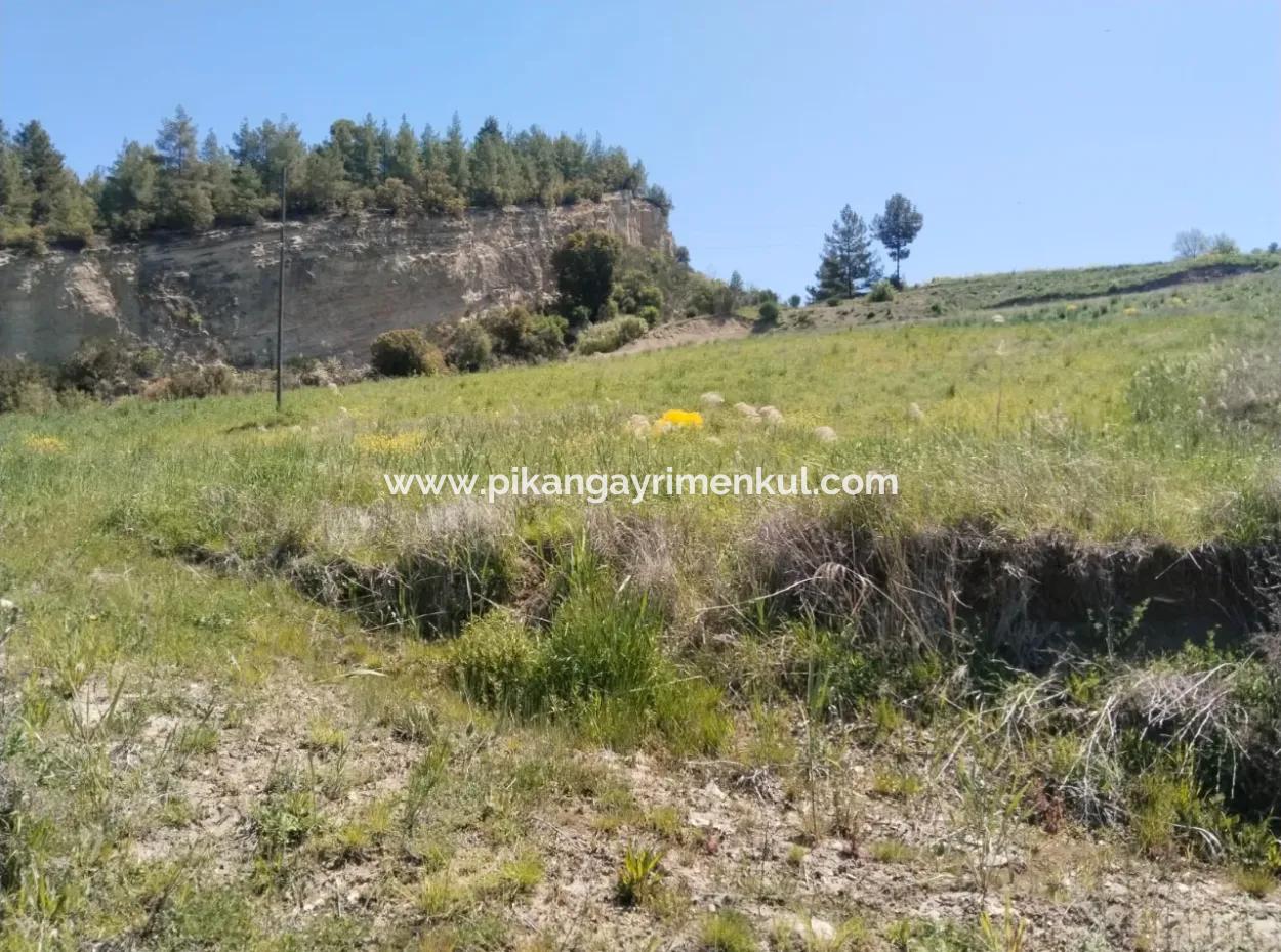 Çameli Kolakta Schnäppchen 20 000 M2 Freistehende Eigentumsurkunde Land Steht Zum Verkauf Oder Tausch.