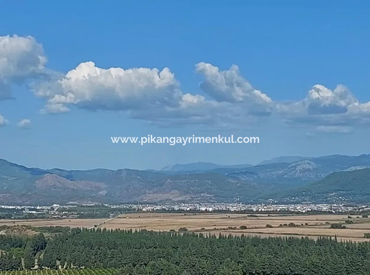 Ortaca Fevziye Blick Auf Das Meer Und Die Natur Schnäppchen Freistehender Olivenhain Zum Verkauf