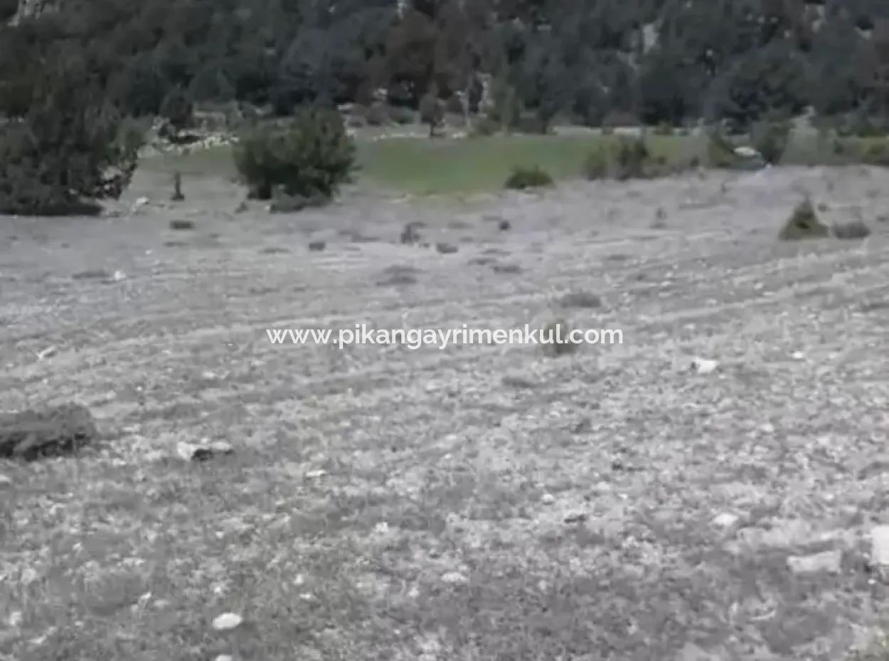 1770 M2 Feld Zum Verkauf In Çameli Ayvacık