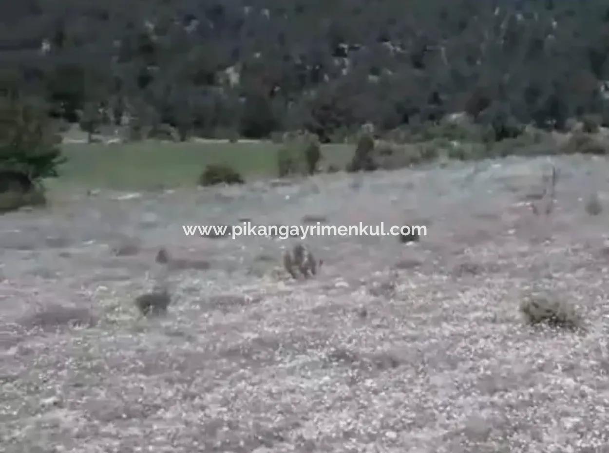 1770 M2 Feld Zum Verkauf In Çameli Ayvacık