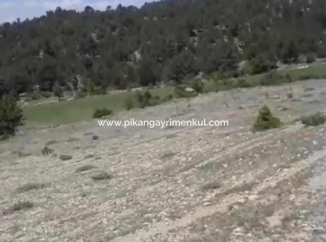 2030 M2 Feld Zum Verkauf In Çameli Ayvacık