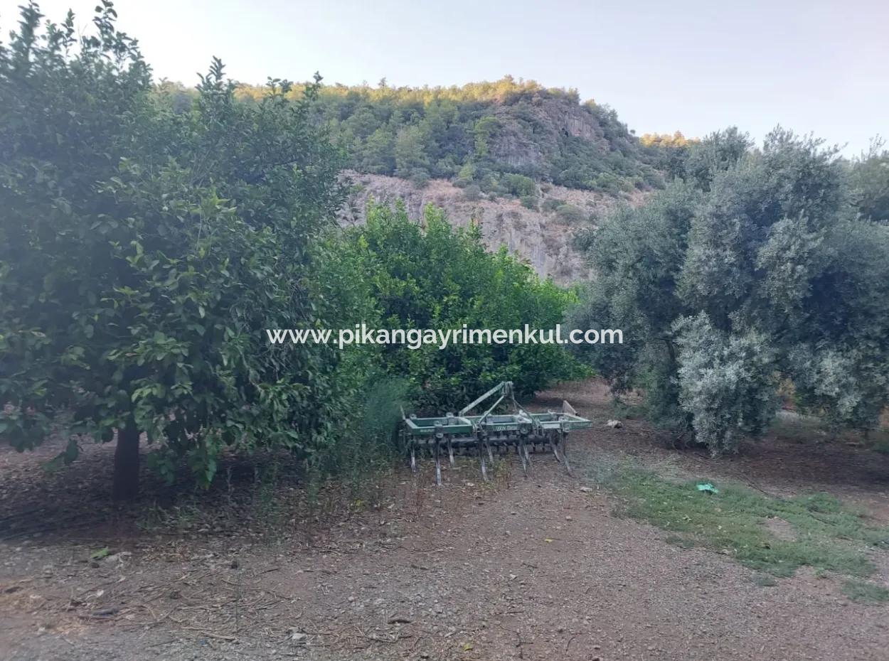 1.300 M2 Freistehendes 250M2 Wohngrundstück Zum Verkauf In Muğla, Ortaca, Karadonlar