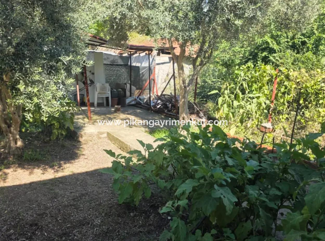 2 1, 70 M2 Dorfhaus Zum Verkauf Auf 902 M2 Land Null Zur Ortaca Akıncı Sarıgerme Road