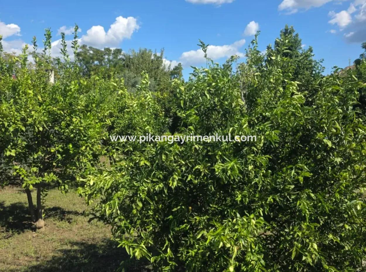 2 1, 70 M2 Dorfhaus Zum Verkauf Auf 902 M2 Land Null Zur Ortaca Akıncı Sarıgerme Road