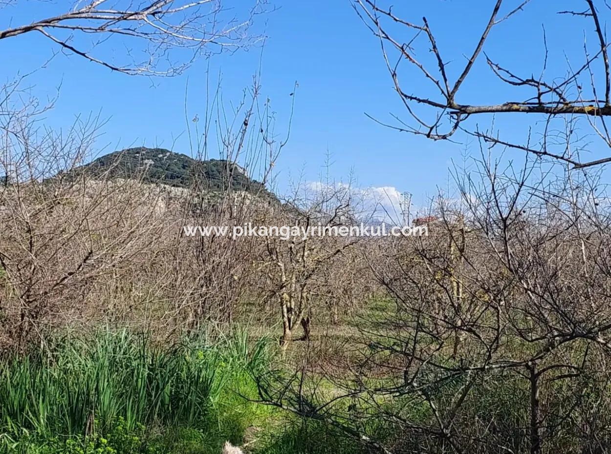 Muğla Dalyanda Canal Zero Einfamilienhaus Mit 5.000 M2 Und 250 M2 Baurechten Zum Verkauf