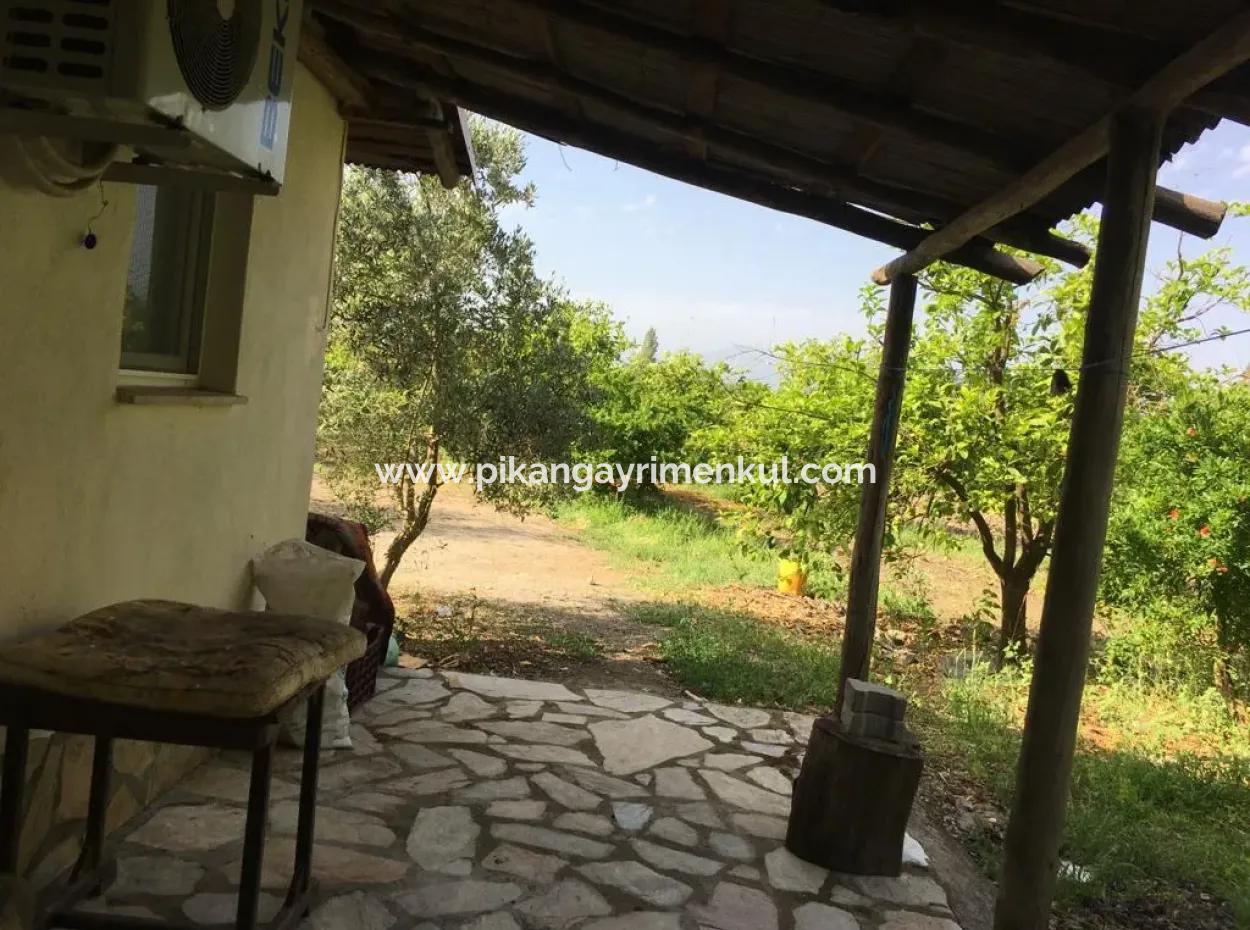 Muğla Ortaca Okçularda Unmöbliert Zu Vermieten 2 1 Garten Dorf Haus