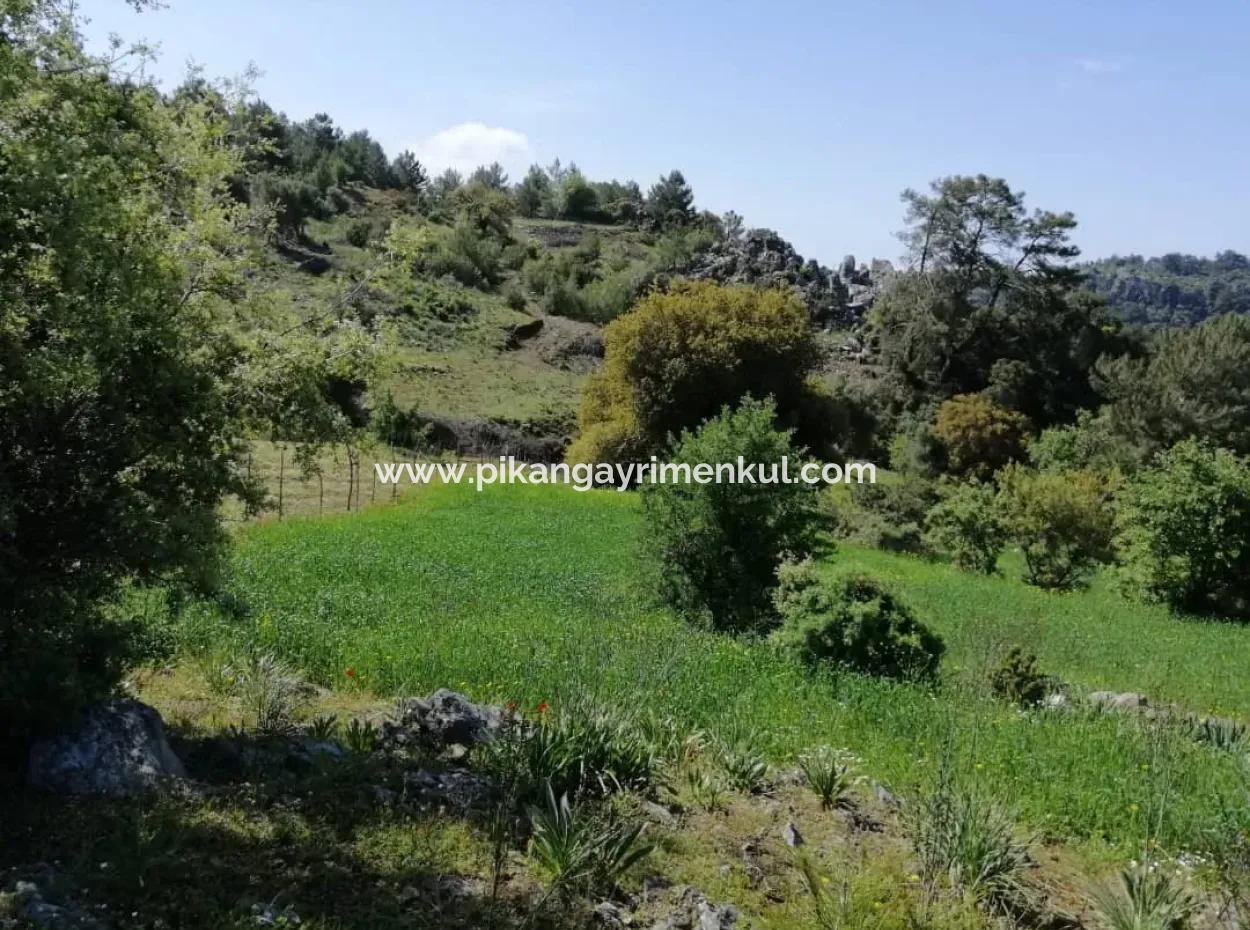 Muğla Ortaca Gökbelde 3200 M2 Gemeinsames Grundstück Zum Verkauf