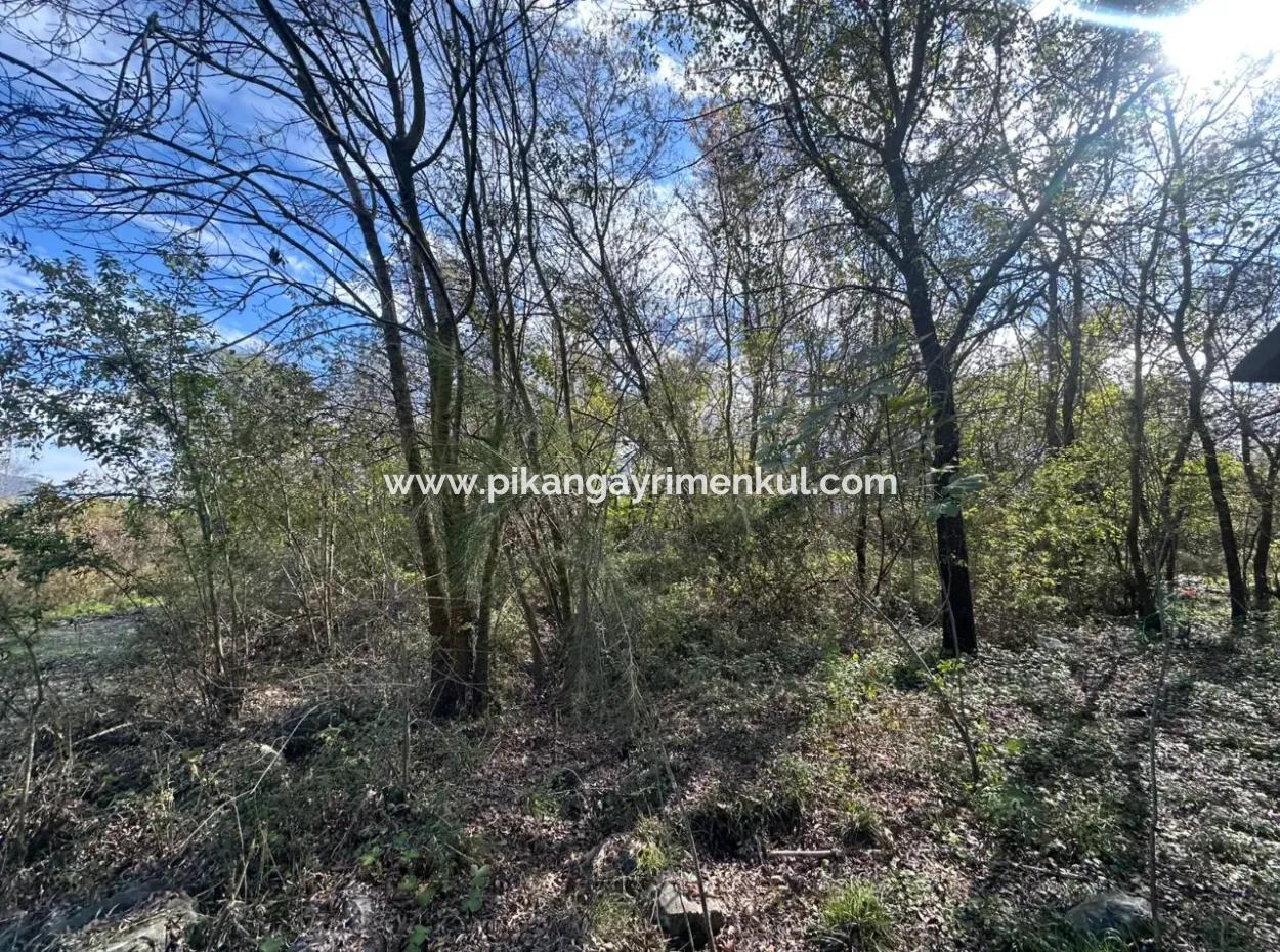 12 000 M2 Feld Zum Verkauf In Ortaca Yeşilyurt