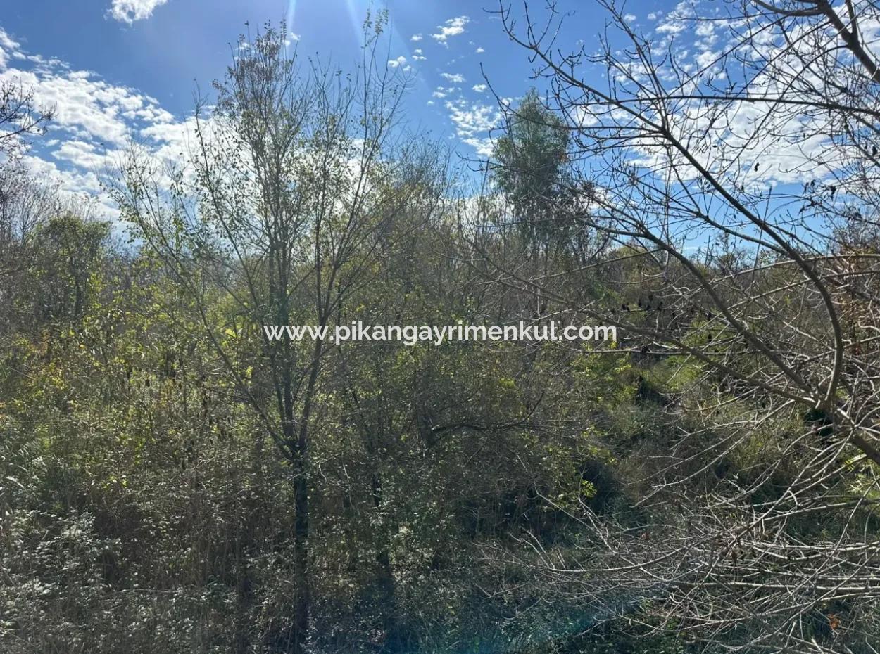 12 000 M2 Feld Zum Verkauf In Ortaca Yeşilyurt