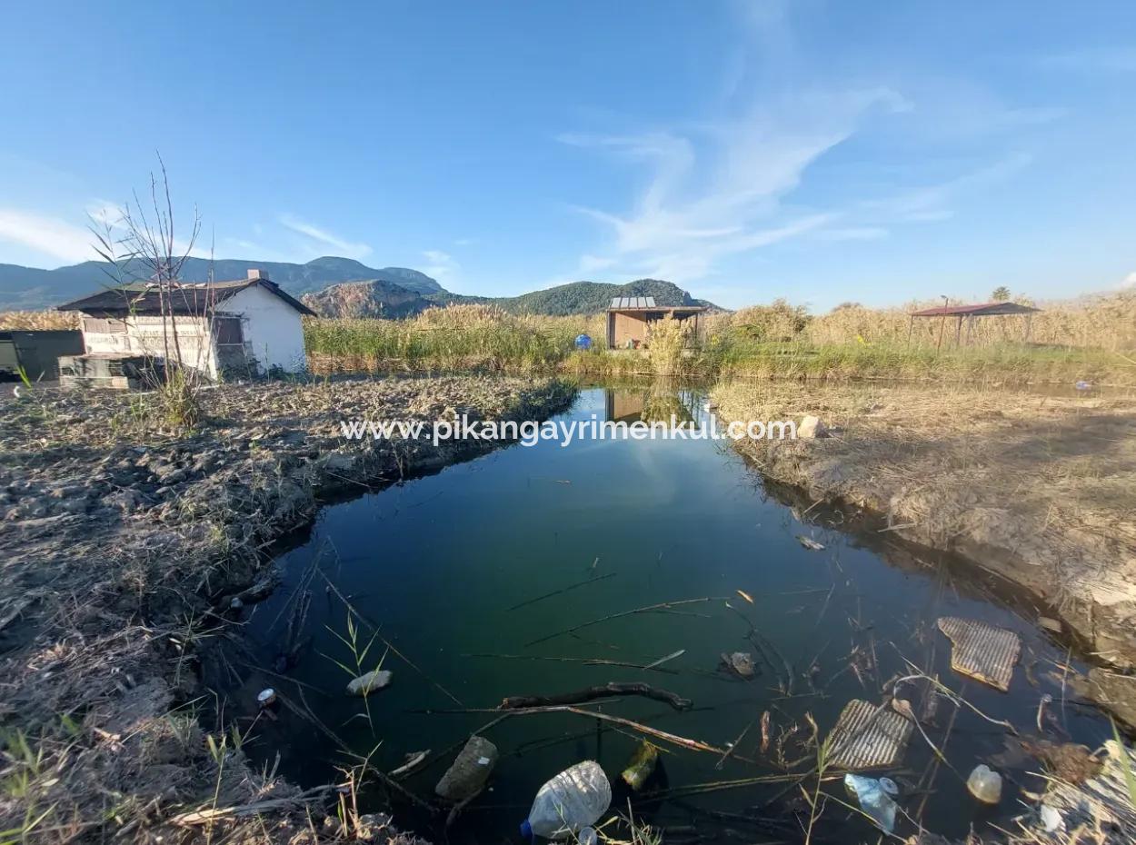 Container Mit Bootsliegeplatz Am Kanal In Muğla Ortaca Dalyan – Zum Verkauf