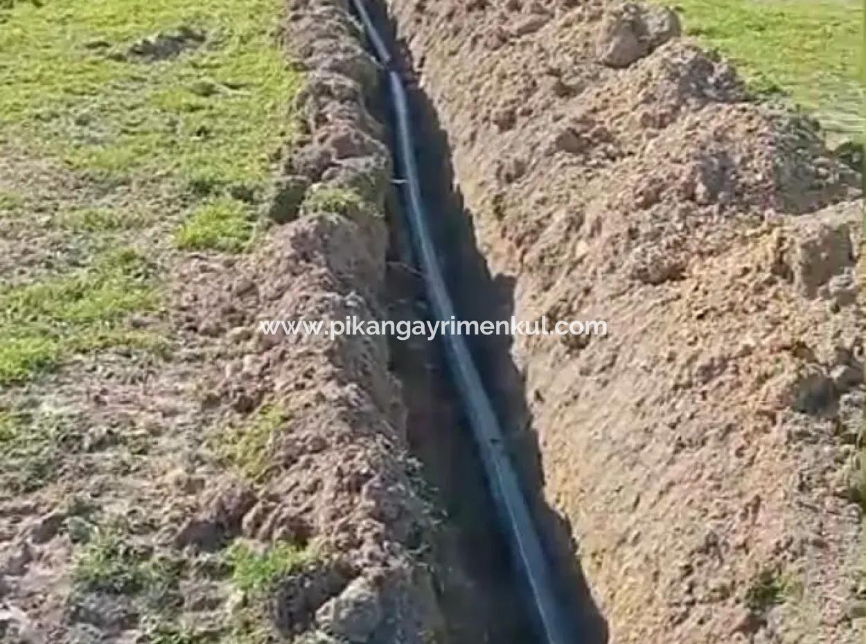 37.000 M² Walnussgarten In Denizli Tavas Ulukent Zum Verkauf