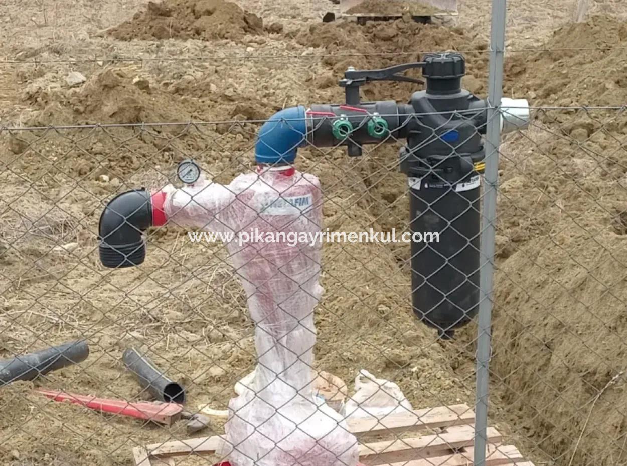 37.000 M² Walnussgarten In Denizli Tavas Ulukent Zum Verkauf