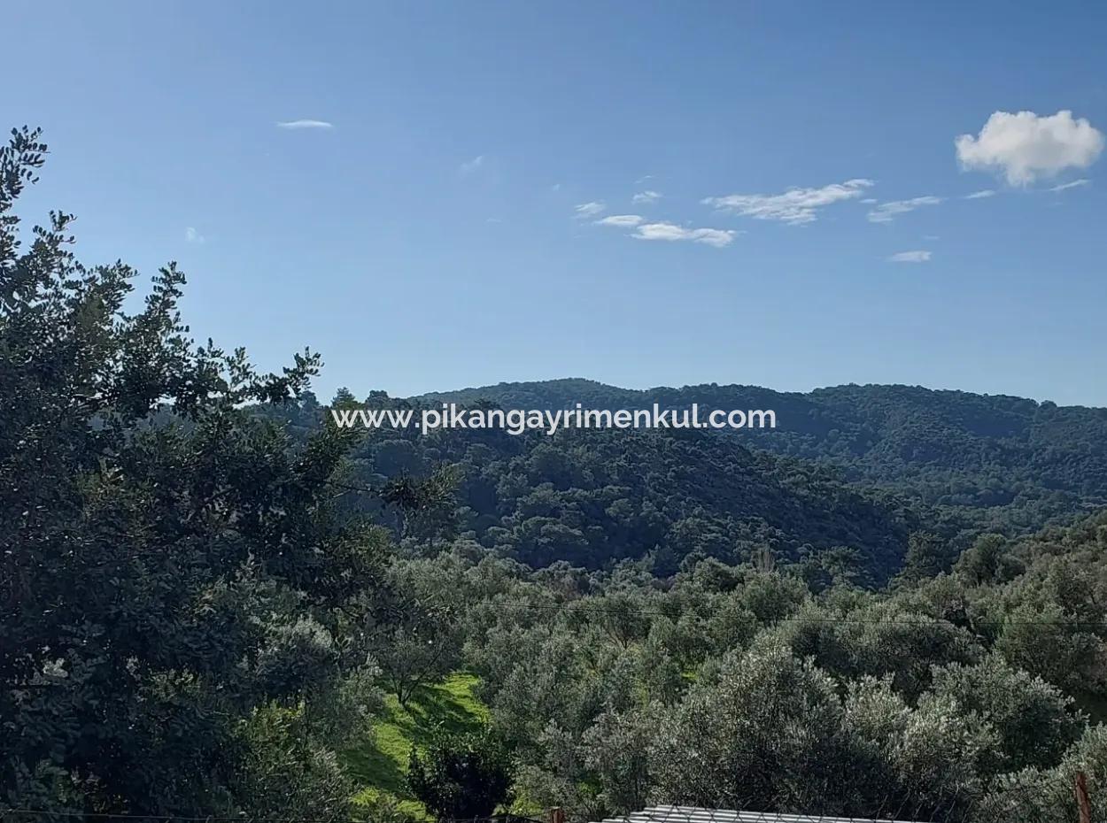 Ortaca Gökbel Abgetrenntes 2.640 M² Land Mit Meerblick Zum Verkauf