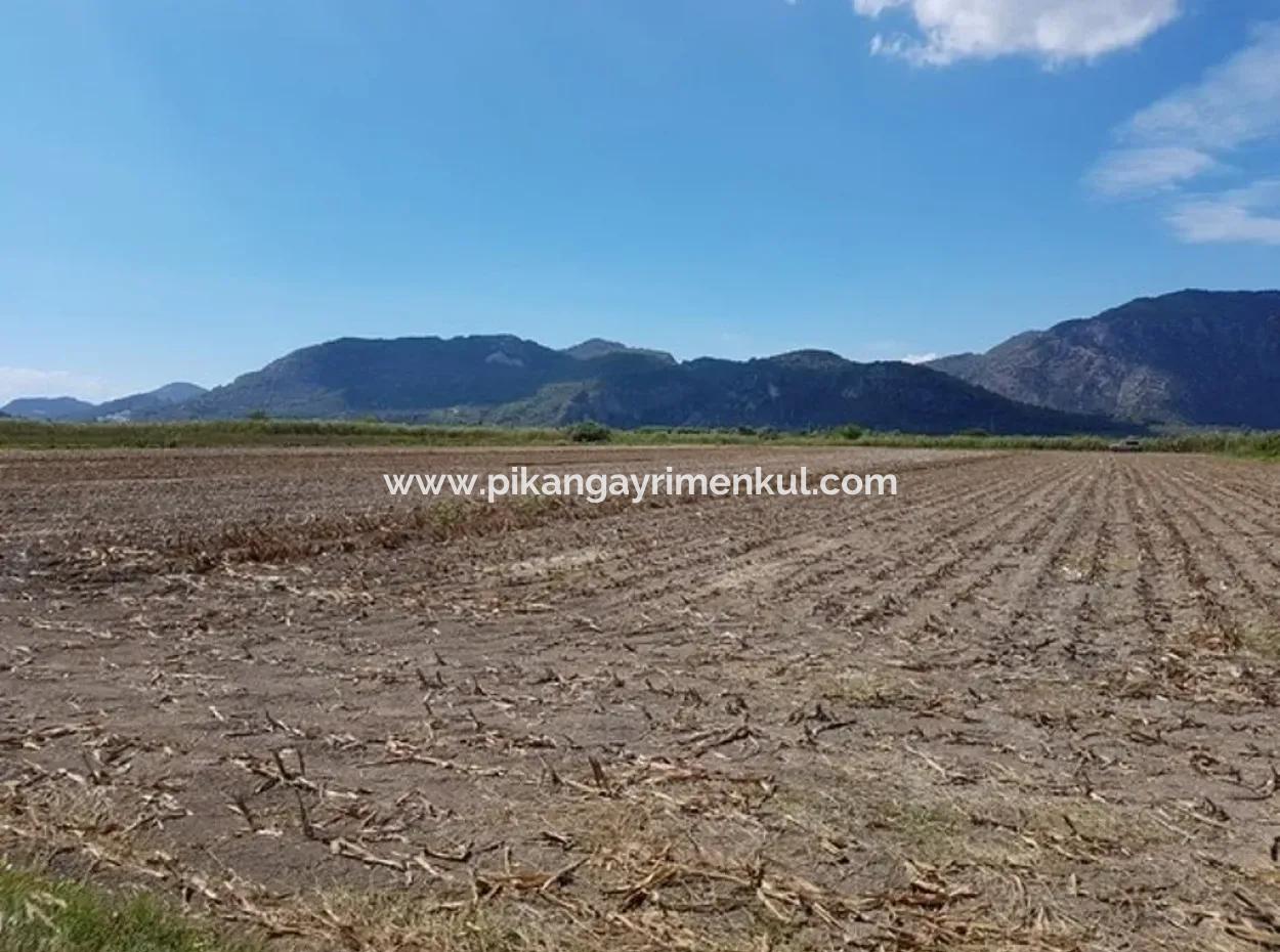 Fruchtbares Land Zum Verkauf In Famagusta Schnäppchen