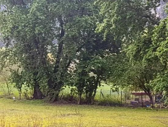 3 577 M2 Land Geeignet Für Nullinvestitionen An Der Hauptstraße Dalyan In Muğla Ortaca Okçular