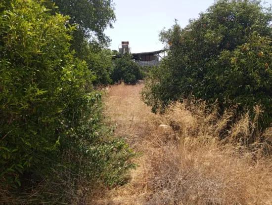 Zentrale Lage 430 M2 Grundstück Zum Verkauf In Ortaca Çaylı