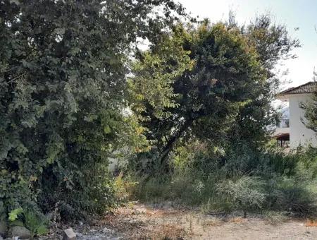 Mugla Dalyanda 500 M2 Zoning Schnäppchen Land Zu Verkaufen