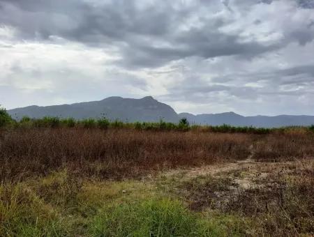 Fruchtbares Land Zu Verkaufen In Ortaca Eskiköy