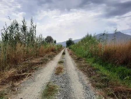 Fruchtbares Land Zu Verkaufen In Ortaca Eskiköy