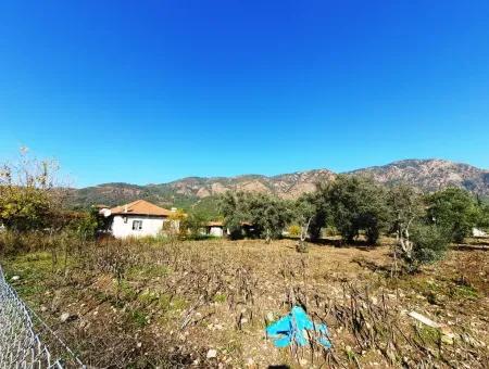 2.000 M2 Kelepir Freistehendes Zoning-Land Zum Verkauf In Köyce-Inz Topars