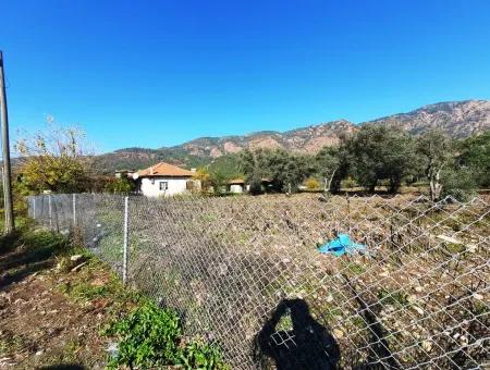 2.000 M2 Kelepir Freistehendes Zoning-Land Zum Verkauf In Köyce-Inz Topars