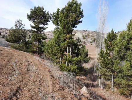 15.250 M2 Günstiges Grundstück Zum Verkauf In Denizli Çameli Cumaalan