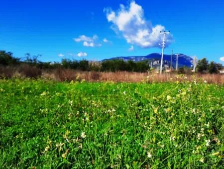 Mugla Ortaca Dalyan Ist Auch Fruchtbares Land Geeignet Für 9 300 M2 Investition Mit Straßenfassaden Zum Verkauf