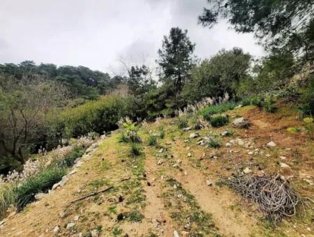 Dalyan Gökbel 13.100 M2 Acker Zum Verkauf In Der Natur