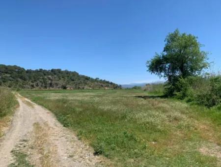 Schnäppchen Freistehendes Land Zum Verkauf In Ortaca Güzelyurt