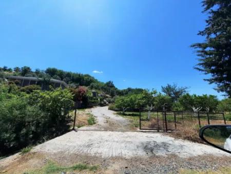 Citrus Garten Freistehendes Land Zum Verkauf In Mugla Dalyan 3000 M2