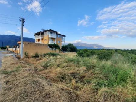 3500 M2 Orangen- Und Mandarinengarten Zum Verkauf In Köyceğiz Toparlar