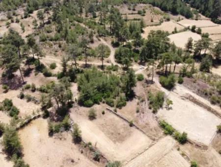 3031 M2 Freistehendes Feld Zu Verkaufen In Mugla Mentese Denizova