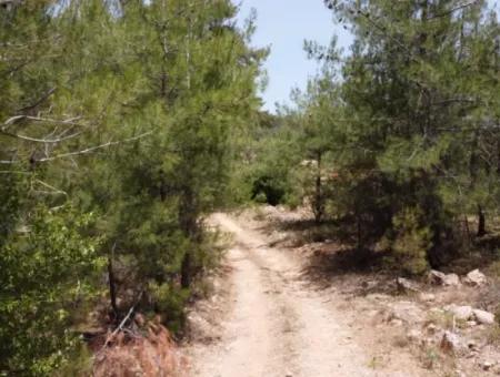 3031 M2 Freistehendes Feld Zu Verkaufen In Mugla Mentese Denizova