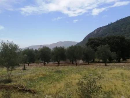 2788 M2 Feld Mit Seeblick Zu Verkaufen In Mugla Köyceğiz Zeytinalanı