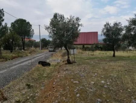 2788 M2 Feld Mit Seeblick Zu Verkaufen In Mugla Köyceğiz Zeytinalanı