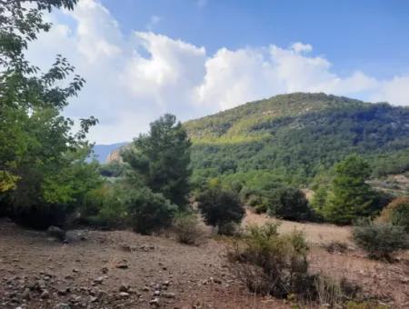 Mugla Dalyan Gökbel 320 M2 Schnäppchengrundstück Zum Verkauf