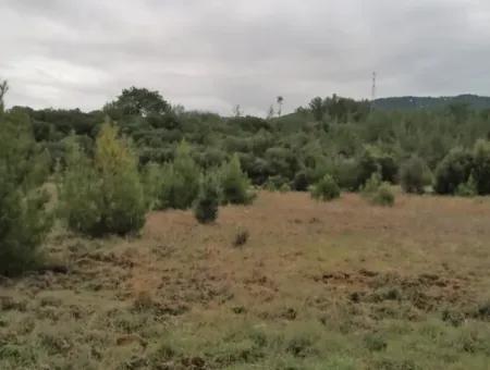 30949 M2 Fruchtbares Feld Zu Verkaufen In Mugla Dalaman Gürleyik